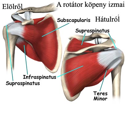 Rotátorköpeny sérülések és fájdalom kezelése
